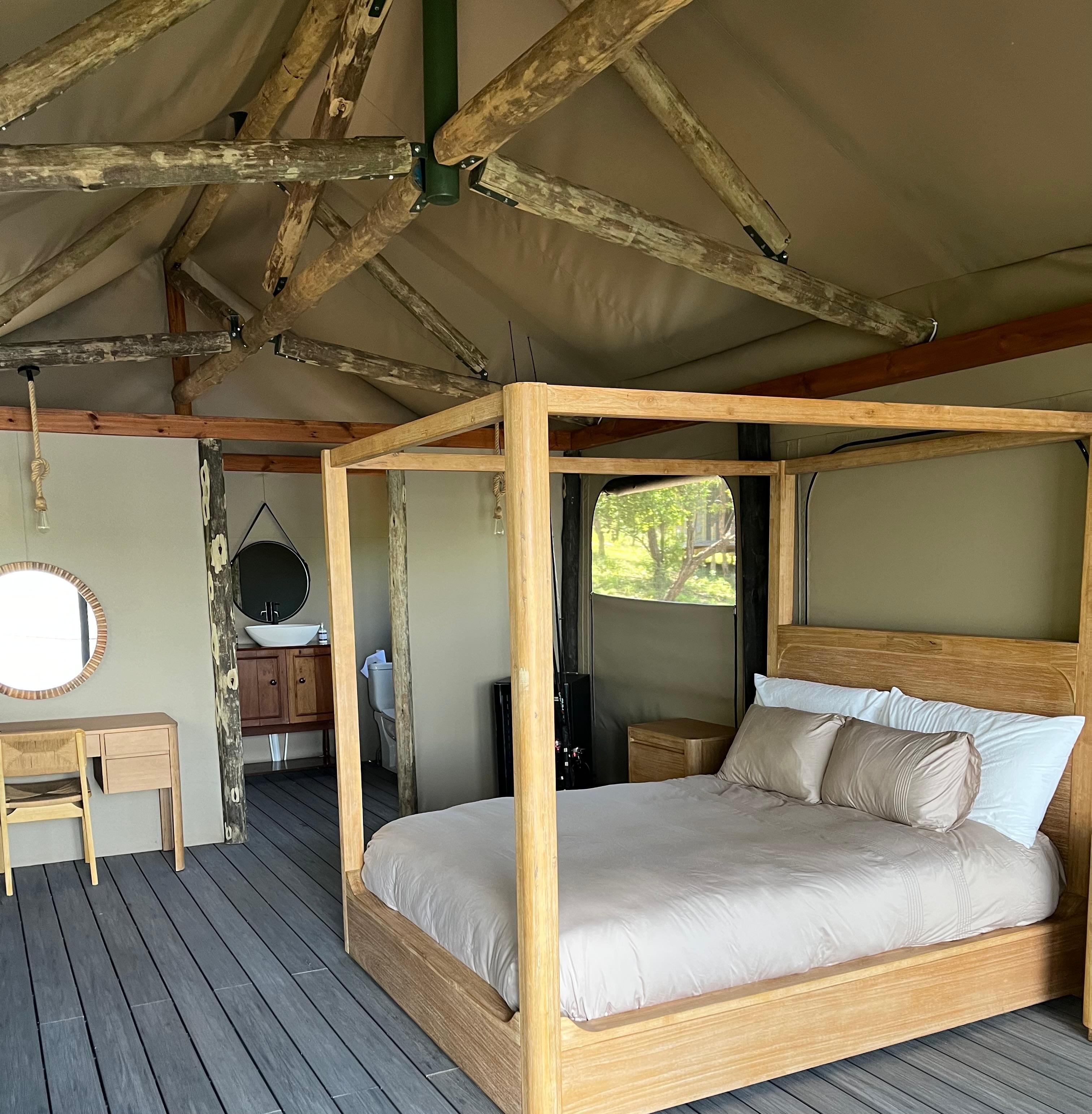 WhatsApp Image 2026-02-03 at 09.44.44